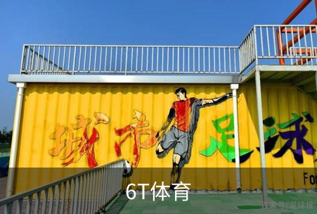6T体育概况