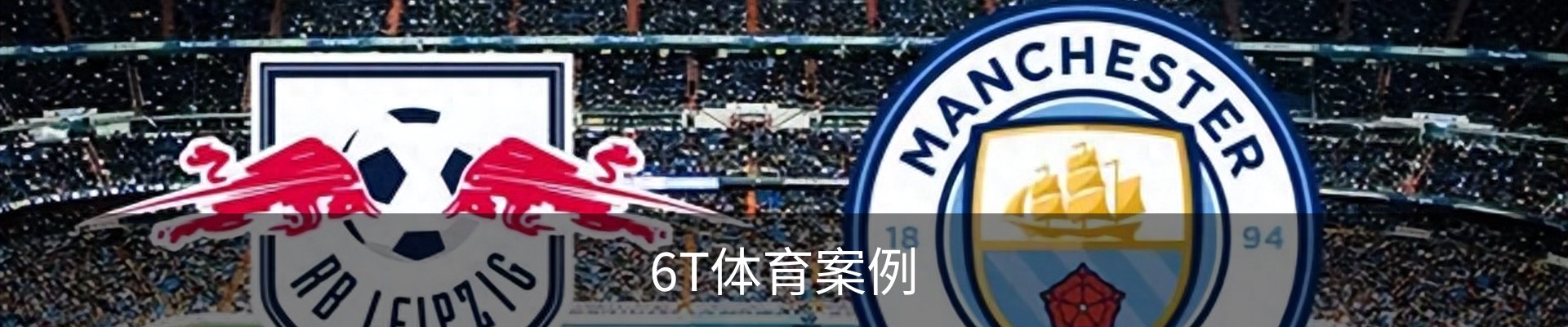6T体育案例